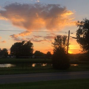 Meet your Posher, Lucy